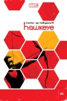 Hawkeye 013-000
